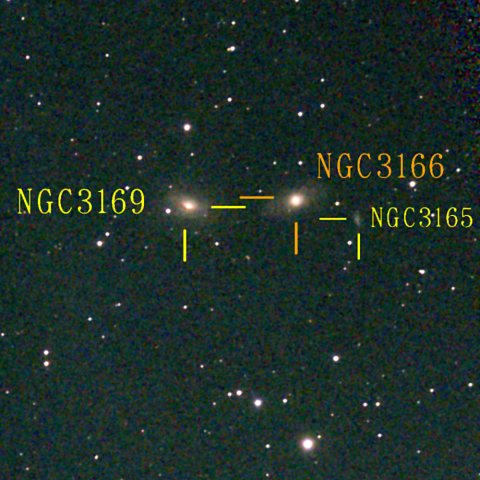 夜空は宝石箱(ろくぶんぎ座 NGC3166) Seestar50