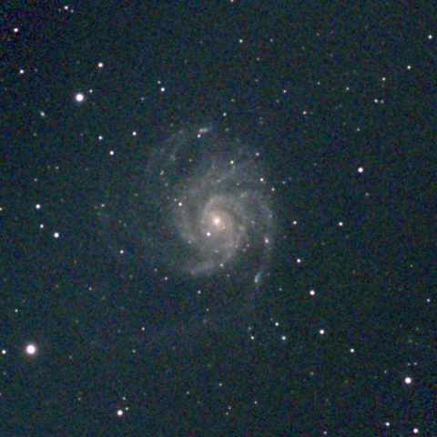 夜空は宝石箱(回転花火銀河 M101) Seestar50