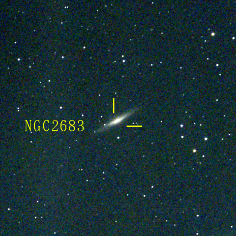 夜空は宝石箱(やまねこ座 NGC2683) Seestar50