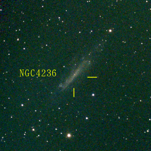夜空は宝石箱(りゅう座 NGC4236) Seestar50