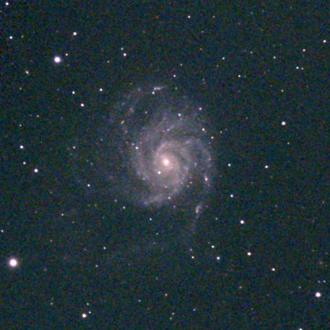 夜空は宝石箱(回転花火銀河 M101) Seestar50