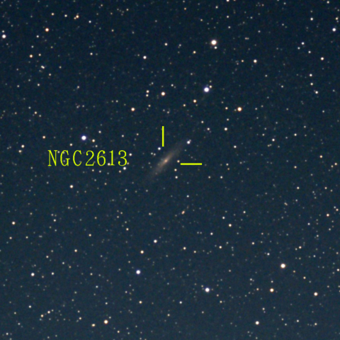 夜空は宝石箱(らしんばん座 NGC2613) Seestar50