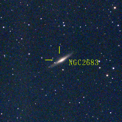 夜空は宝石箱(やまねこ座 NGC2683) Seestar50