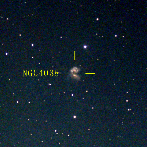 夜空は宝石箱(アンテナ銀河 NGC4038) Seestar50