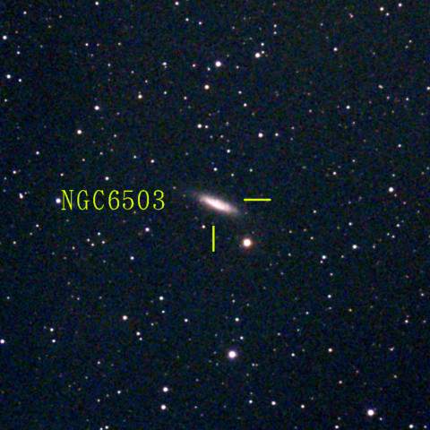 夜空は宝石箱(りゅう座 NGC6503) Seestar50