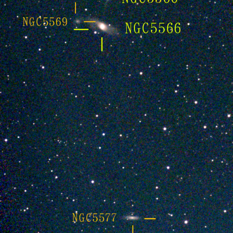 夜空は宝石箱(おとめ座 NGC5566) Seestar50