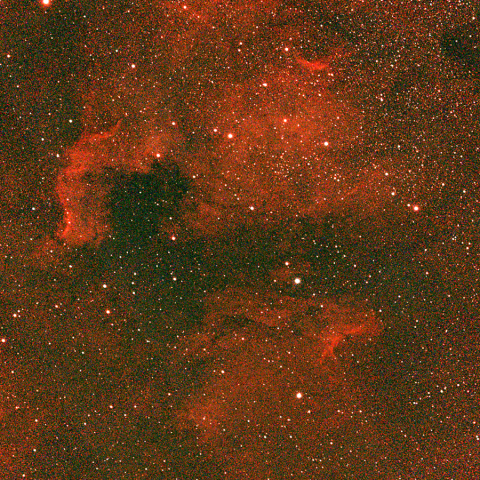 夜空は宝石箱(北アメリカ星雲 NGC7000 ) Seestar30