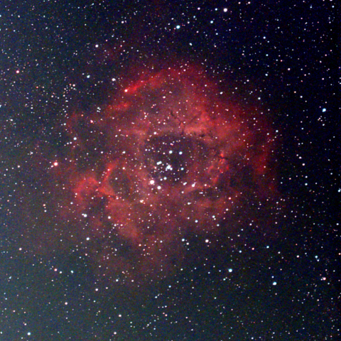 夜空は宝石箱(バラ星雲 NGC2237) Seestar30