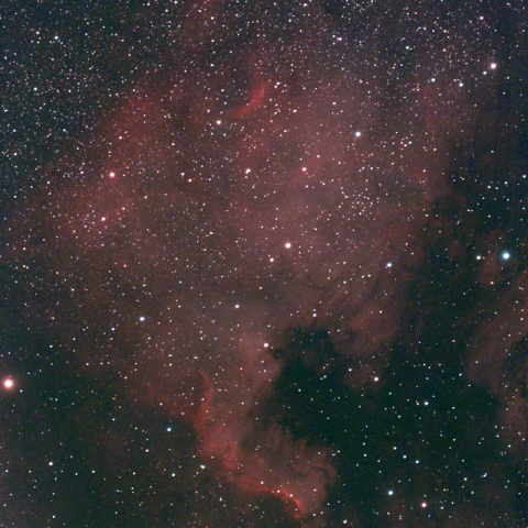 夜空は宝石箱(北アメリカ星雲NGC7000 ) Seestar30