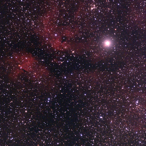 夜空は宝石箱(サドル NGC6910) Seestar30