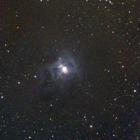 夜空は宝石箱(アイリス星雲 NGC7023) Seestar50