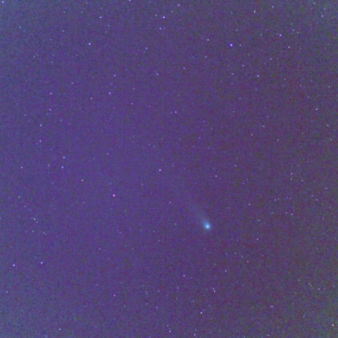 ラブジョイ彗星