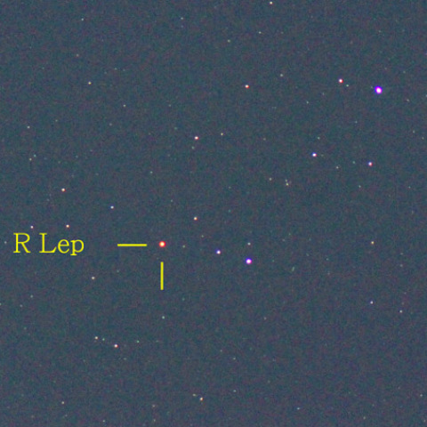 クリムゾンスター