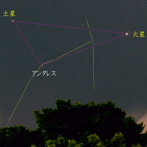 夏のトライアングル