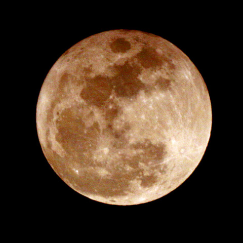 満月（月齢14.2）