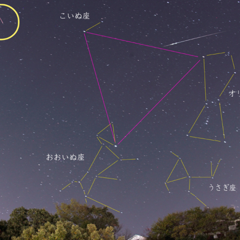 流星群の夜~火球~