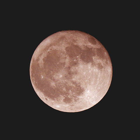 立待月(月齢16.3)