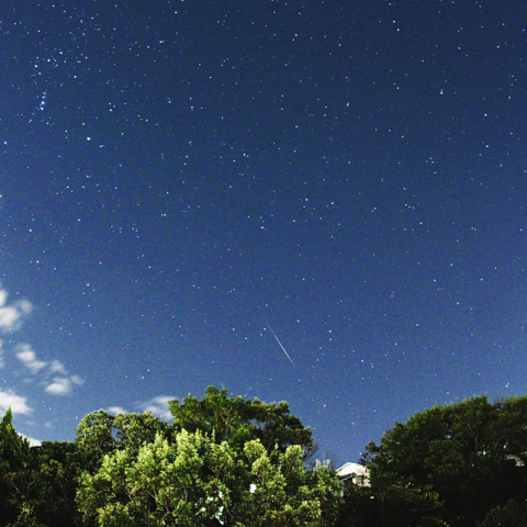 オリオン座流星群