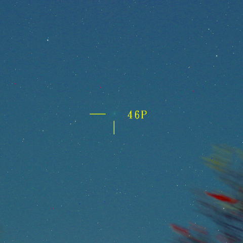 ウィルタネン彗星