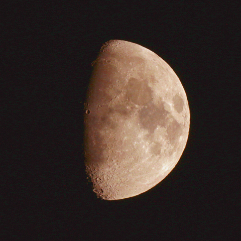 十日夜(月齢 9.7)