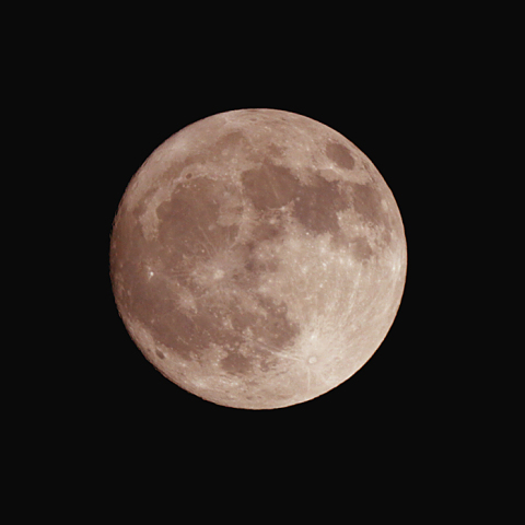 十五夜（月齢14.8）