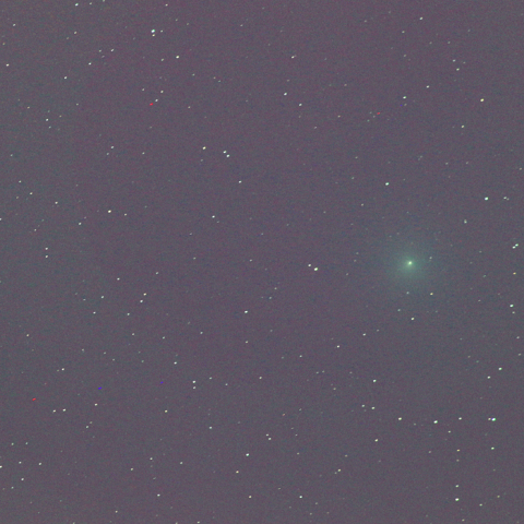 ウイルタネン彗星