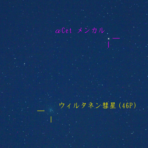 ウイルタネン彗星