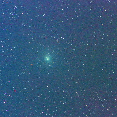 ウイルタネン彗星（2019年1月2日）