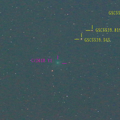 岩本彗星（2019年2月2日）