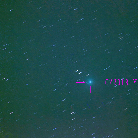 岩本彗星（2月10日）彗星核コンポジット