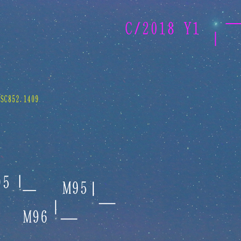 岩本彗星（2月12日）