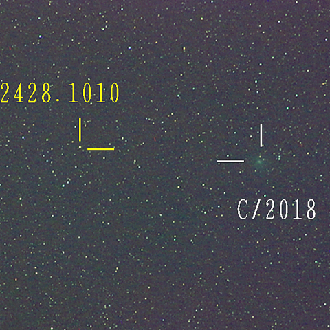 岩本彗星（2月23日）