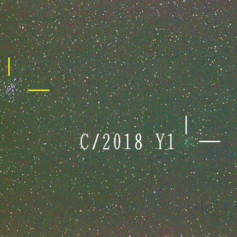 岩本彗星（2月26日）
