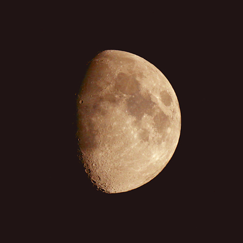 十日夜(月齢9.1)