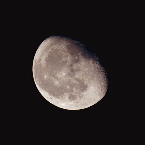 更待月(月齢 19.1)