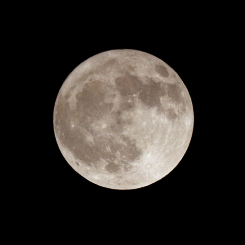 十六夜（月齢15.4）