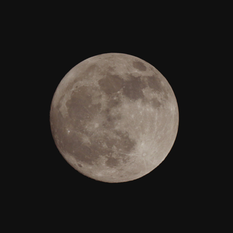 十五夜(月齢14.9)