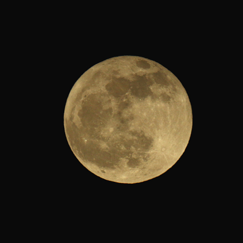 十六夜(月齢15.8)