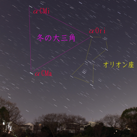 冬の大三角