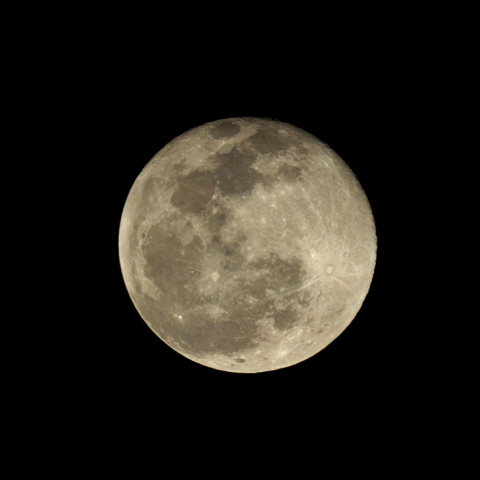 立待月(月齢16.3)