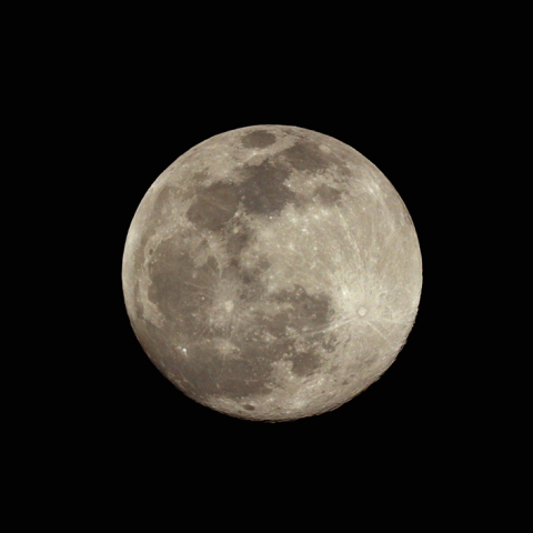 十五夜（月齢 14.6）