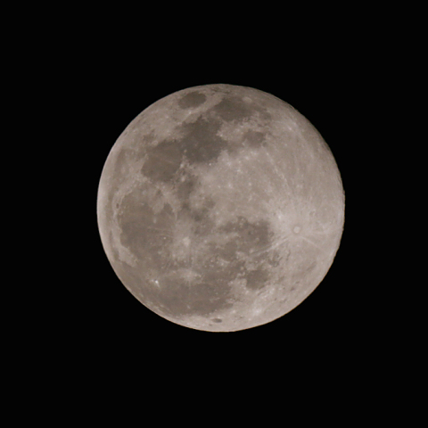 十六夜（月齢 15.6）