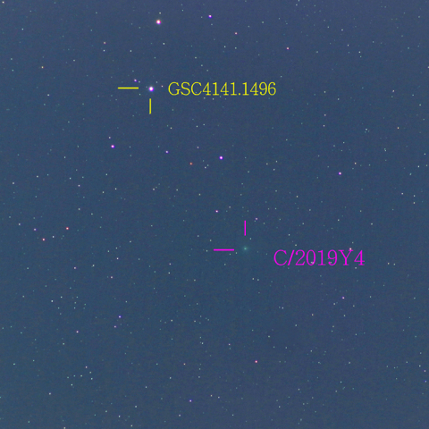アトラス彗星（C/2019Y4）3月20日　300mm