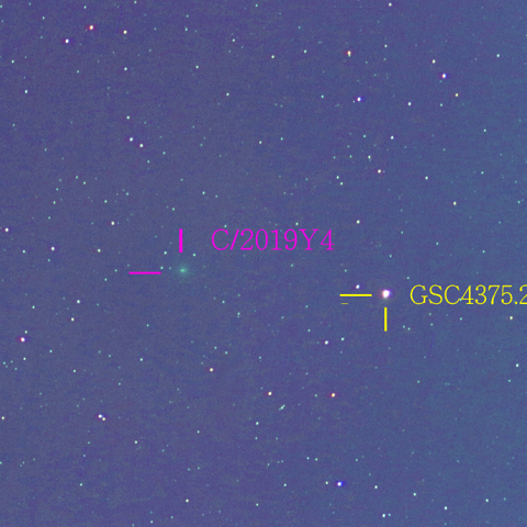 アトラス彗星（C/2019Y4）3月23日　400mm