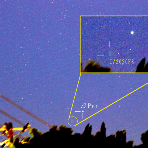 スワン彗星（C/2020F8）　5月21日　200mm