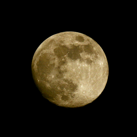 十三夜（月齢12.7）