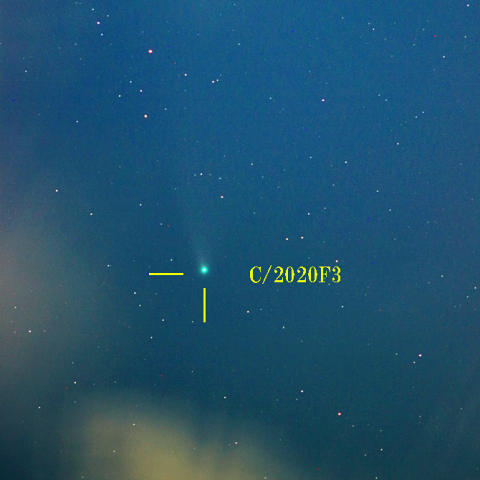 ネオワイズ彗星（C/2020F3）7月29日　200mm