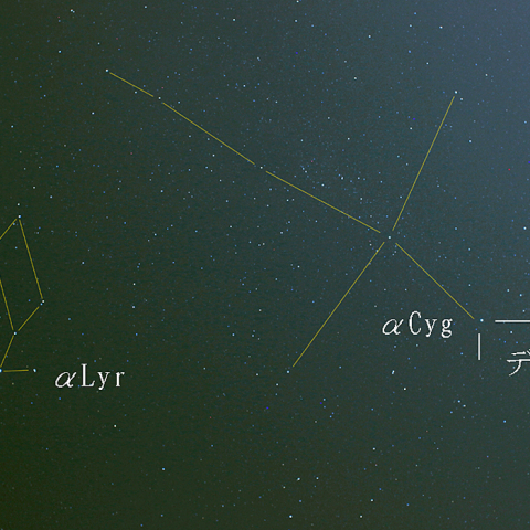 見上げてごらん都会の星を～はくちょう座～