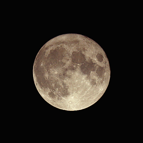 十五夜(月齢14.4)