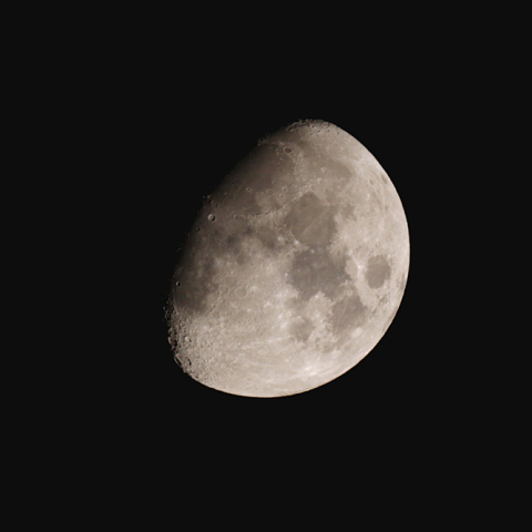 十日夜(月齢 9.7)